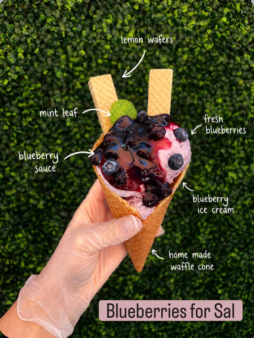 Blueberry specialty cone