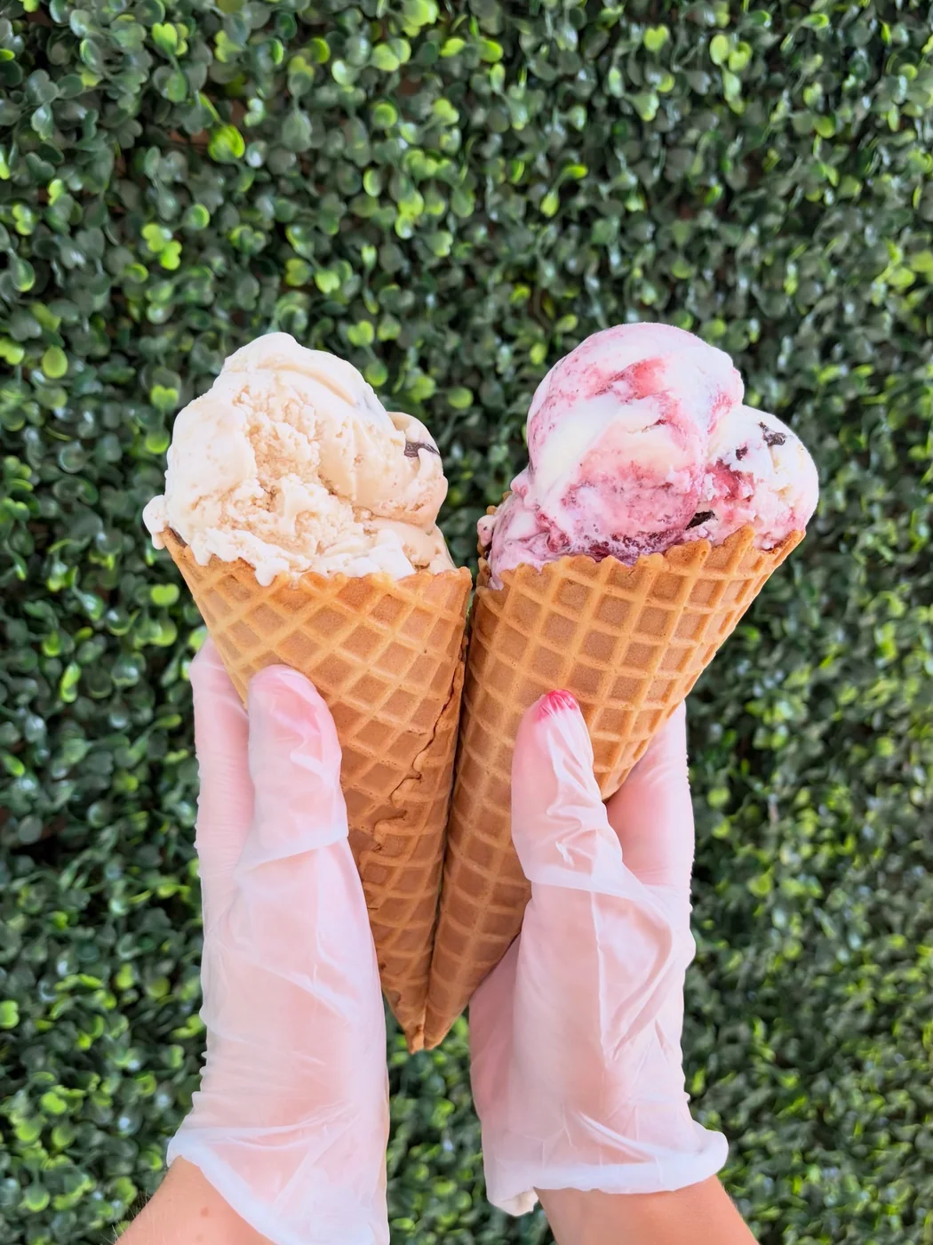 Two waffle cones held in front of a green wall